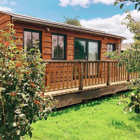 The Holford Arms Chalets And Glamping Hotel Didmarton Eksteriør billede