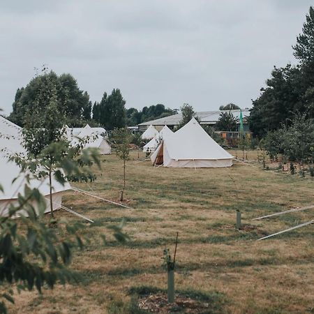 The Holford Arms Chalets And Glamping Hotel Didmarton Eksteriør billede