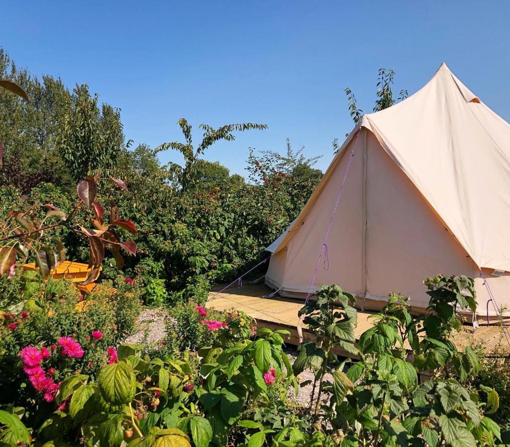 The Holford Arms Chalets And Glamping Hotel Didmarton Eksteriør billede