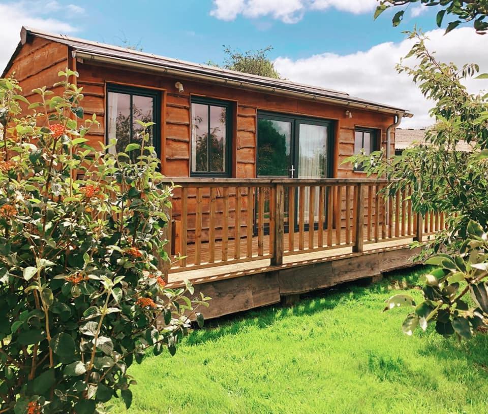 The Holford Arms Chalets And Glamping Hotel Didmarton Eksteriør billede